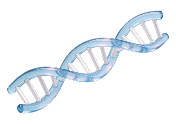 Hélice de ADN